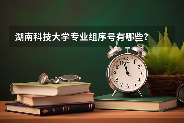 湖南科技大学专业组序号有哪些？