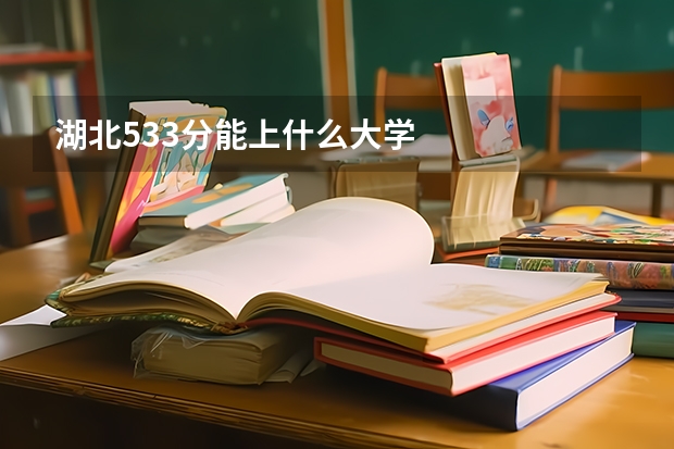 湖北533分能上什么大学