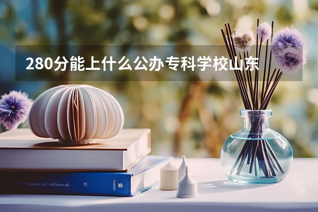 280分能上什么公办专科学校山东