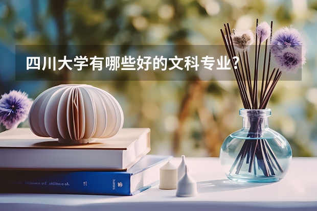 四川大学有哪些好的文科专业?