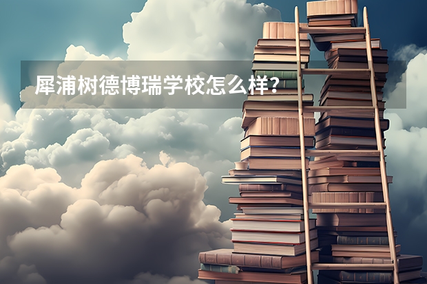 犀浦树德博瑞学校怎么样？