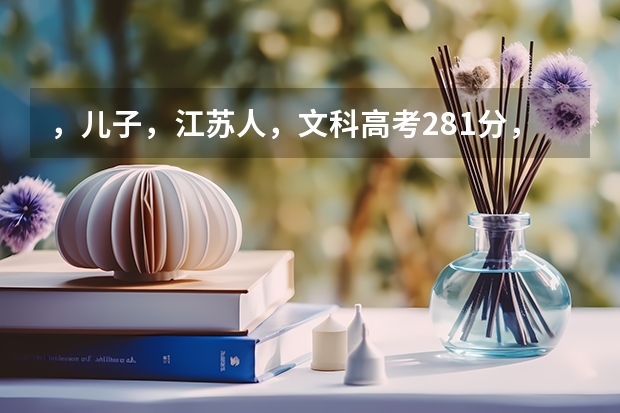 ，儿子，江苏人，文科高考281分，填什么学校为好？
