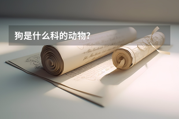 狗是什么科的动物?