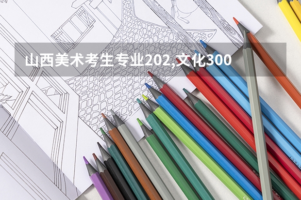山西美术考生专业202,文化300能上什么学校?