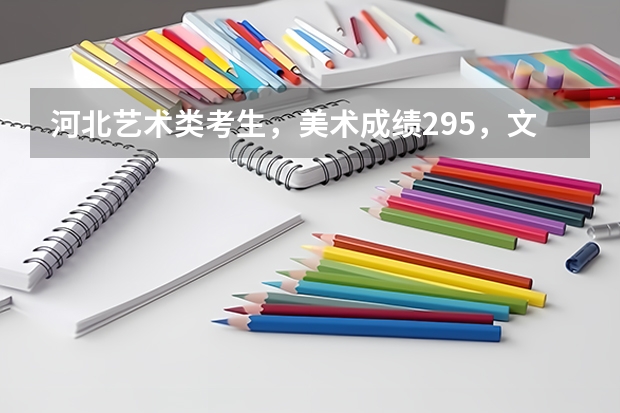 河北艺术类考生,美术成绩295,文化分208,在全国范围能上什么学校?高分感谢。