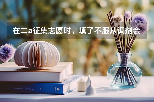 在二a征集志愿时，填了不服从调剂会影响后面二b的录取吗？