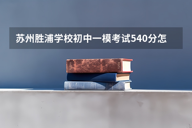 苏州胜浦学校初中一模考试540分怎么样呀