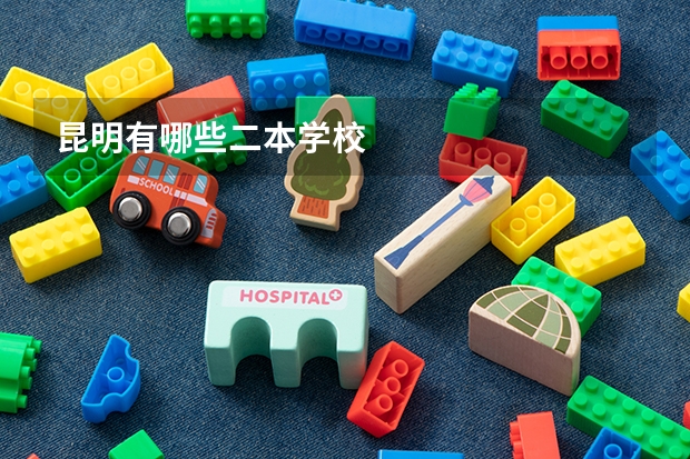 昆明有哪些二本学校