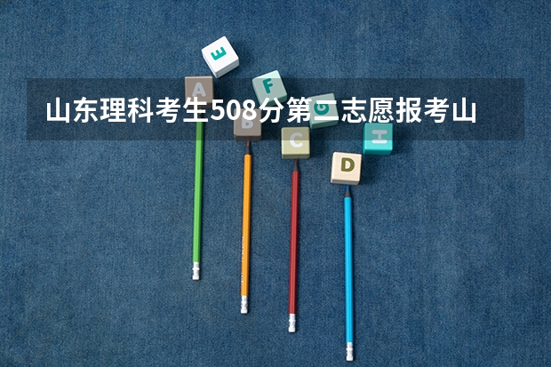 山东理科考生508分第二志愿报考山东外贸职业学院可以吗？