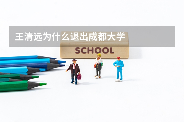 王清远为什么退出成都大学