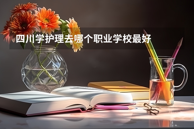 四川学护理去哪个职业学校最好