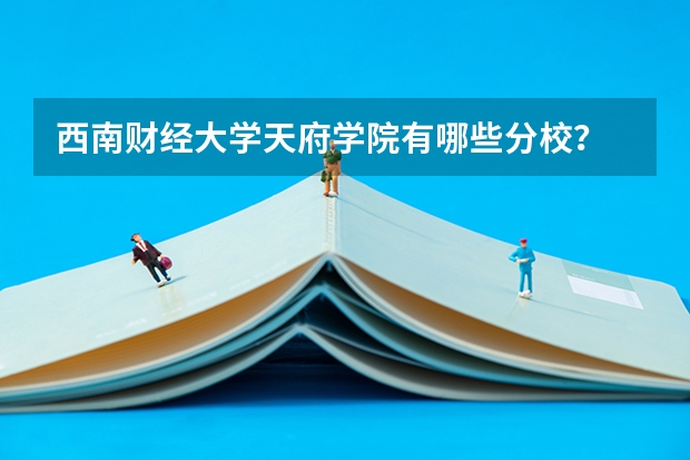 西南财经大学天府学院有哪些分校？
