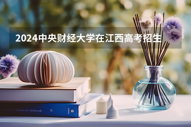 2024中央财经大学在江西高考招生计划介绍