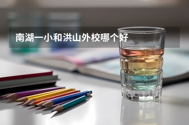 南湖一小和洪山外校哪个好