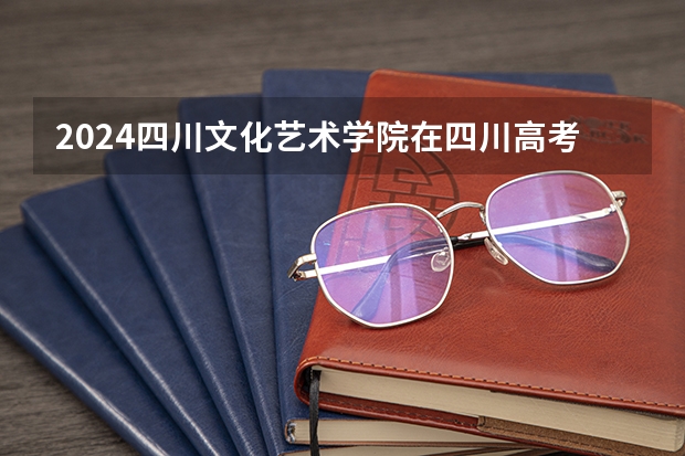 2024四川文化艺术学院在四川高考招生计划介绍