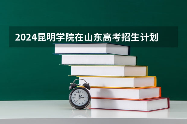 2024昆明学院在山东高考招生计划介绍