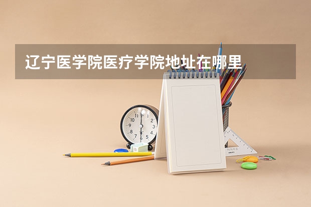 辽宁医学院医疗学院地址在哪里