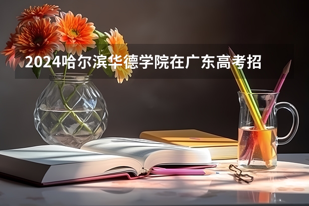 2024哈尔滨华德学院在广东高考招生计划介绍
