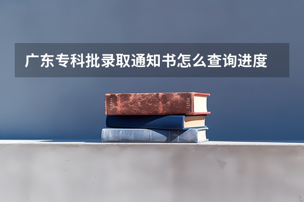 广东专科批录取通知书怎么查询进度