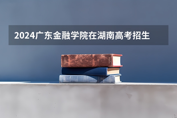 2024广东金融学院在湖南高考招生计划介绍