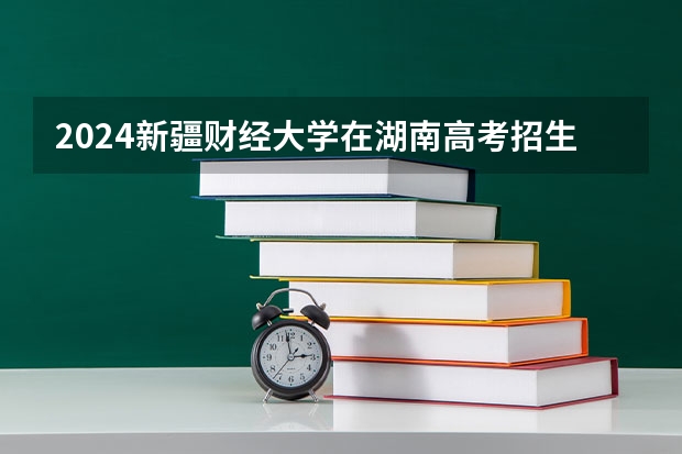 2024新疆财经大学在湖南高考招生计划介绍