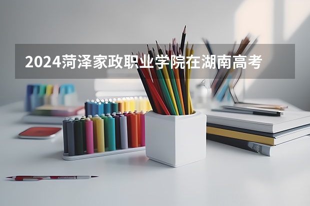 2024菏泽家政职业学院在湖南高考招生计划介绍