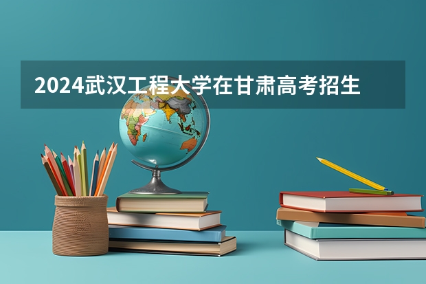 2024武汉工程大学在甘肃高考招生计划介绍