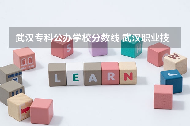 武汉专科公办学校分数线 武汉职业技术学院专业分数线
