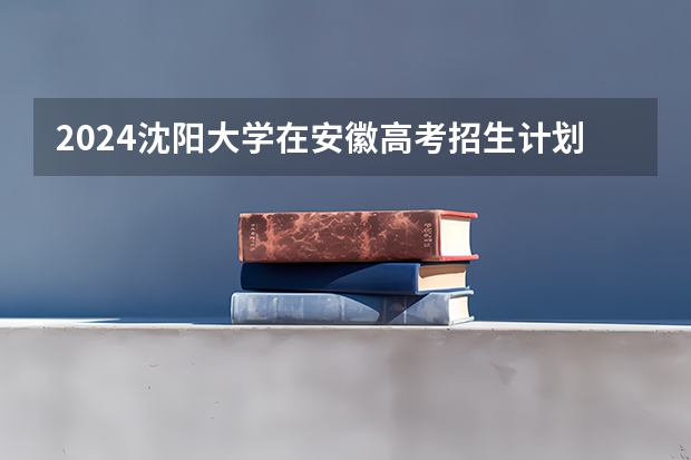 2024沈阳大学在安徽高考招生计划介绍