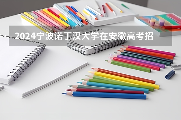 2024宁波诺丁汉大学在安徽高考招生计划介绍