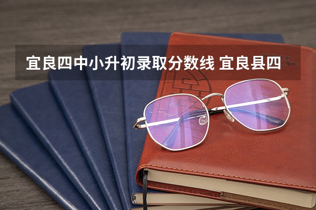 宜良四中小升初录取分数线 宜良县四中小升初录取分数线