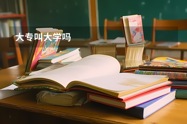 大专叫大学吗
