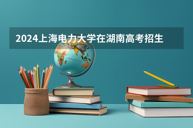 2024上海电力大学在湖南高考招生计划介绍