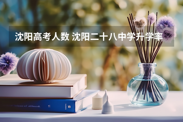 沈阳高考人数 沈阳二十八中学升学率