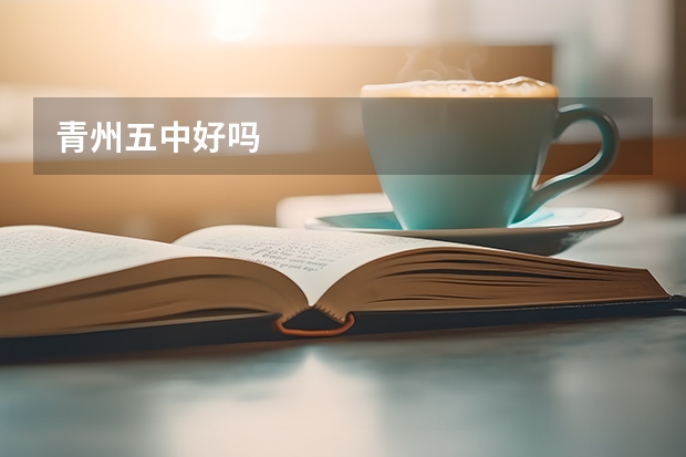 青州五中好吗