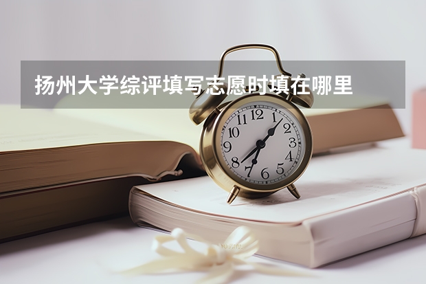 扬州大学综评填写志愿时填在哪里