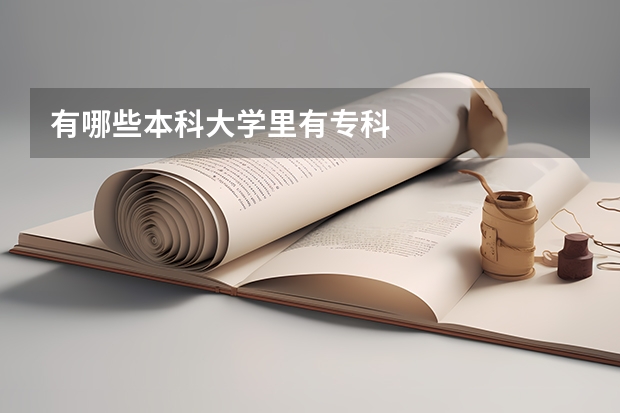 有哪些本科大学里有专科
