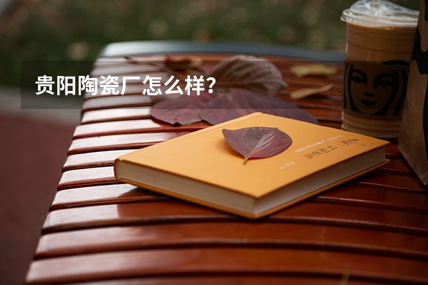 贵阳陶瓷厂怎么样？