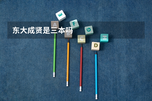 东大成贤是三本吗