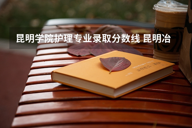 昆明学院护理专业录取分数线 昆明冶金专科学校录取分数线