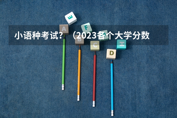 小语种考试？（2023各个大学分数线录取）