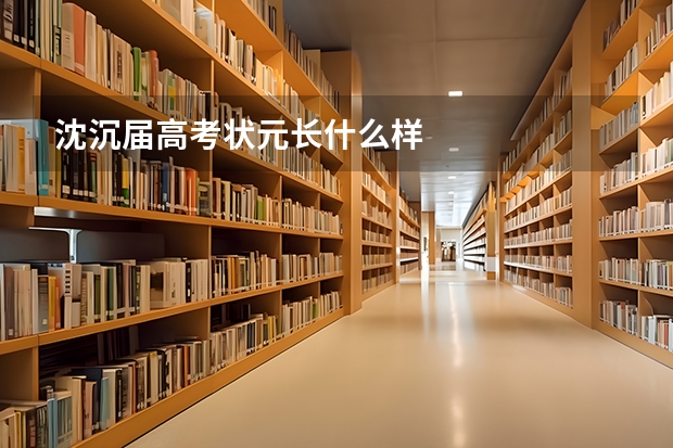 沈沉届高考状元长什么样