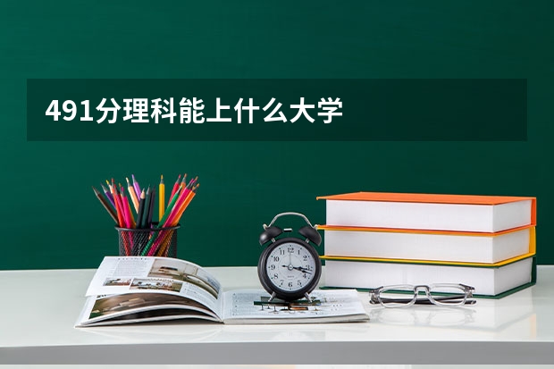 491分理科能上什么大学