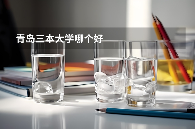 青岛三本大学哪个好