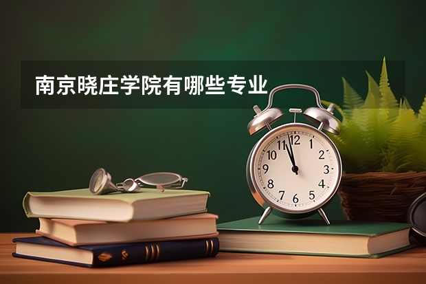 南京晓庄学院有哪些专业