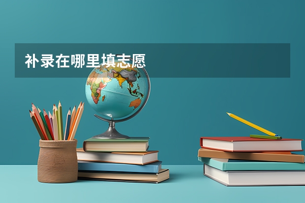 补录在哪里填志愿