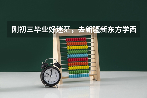 刚初三毕业好迷茫，去新疆新东方学西点行吗