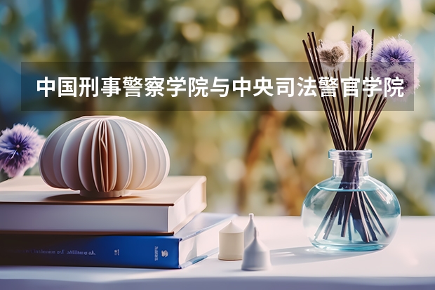 中国刑事警察学院与中央司法警官学院哪个好就业