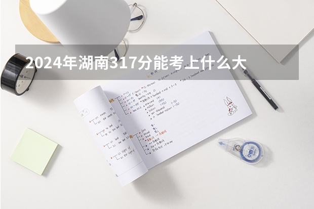 2024年湖南317分能考上什么大学？