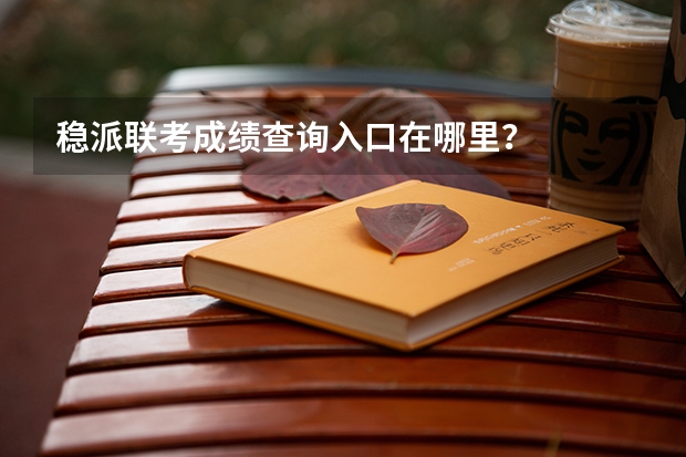 稳派联考成绩查询入口在哪里？